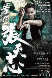 Usta Z: Ip Man’in Mirası